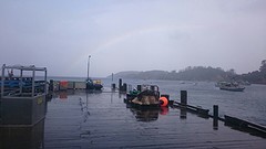 Regenboog