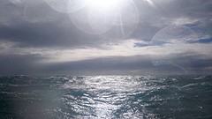Over het wildste zee van Nieuw Zeeland.. Oei