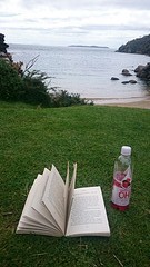 Harold Bay
