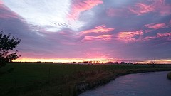 Vroege morgen beloont