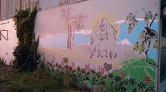 Beautiful painting