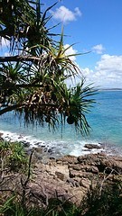 Noosa National Park