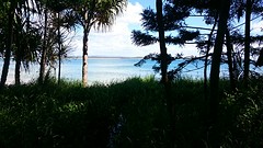 Noosa National Park