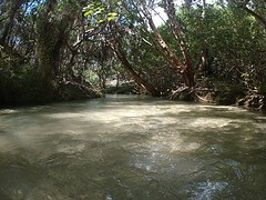 Eli creek