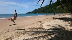 Cow Bay