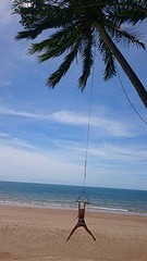 Cow Bay