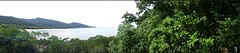 Cape Tribulation