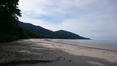 Where the rainforest meet the reef