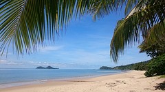 Ellis Beach