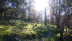 Serpentine National Park
