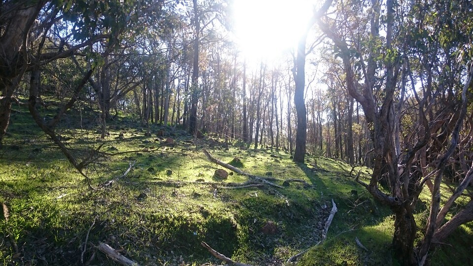 Serpentine National Park