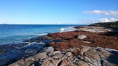 Leeuwin