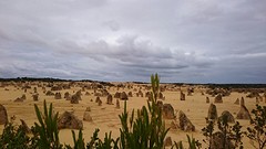 Pinnacles