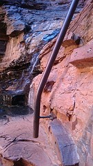 Walk trail