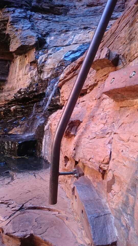 Walk trail