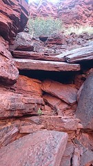 Walk/Climb trail