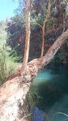Gorge walk