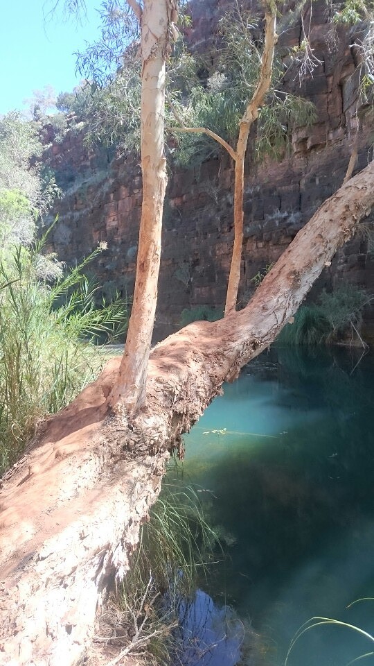 Gorge walk