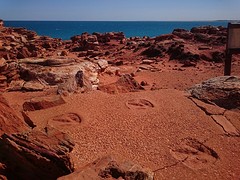 Dinosaur footprints