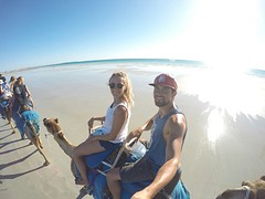 Camel beach tour