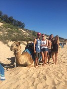 Great company!