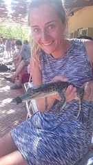 Little croc