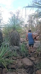 Addock Gorge
