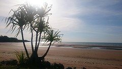 Mindil Beach