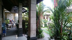 Budda to Buddha complex