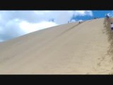 Sandboarden