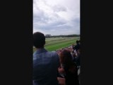 Paarden race