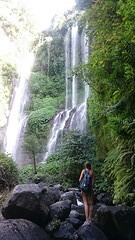 Sekumpul waterval