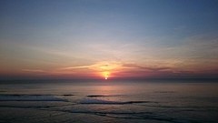 Single Fin