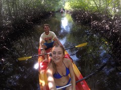 Kajaken in de mangrove bossen