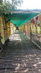 Brug