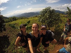 Jungle trekking