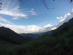 Jungle trekking