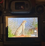 IMG_2805