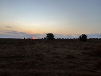 IMG_2804