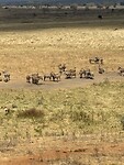 IMG_2794