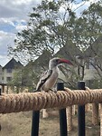 IMG_2801