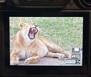 IMG_2881