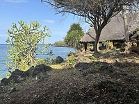 IMG_2920