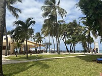 IMG_2923