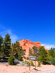 Red canyon