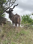 34394277-cb86-42d0-990c-9e9497e8732d