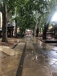 IMG_7749