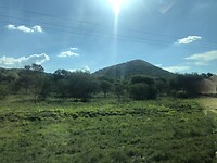 IMG_7799