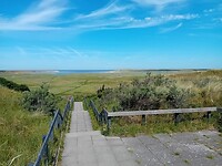 ff024823-e6fe-41df-a0c9-bf9bef88d4ec