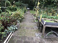 IMG_9070